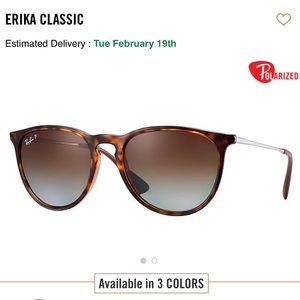 Erika Tortoise polarized sunglasses